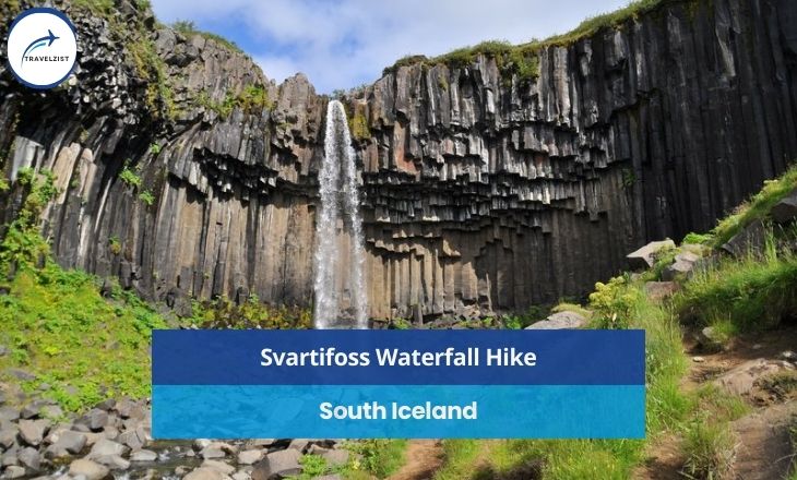 Svartifoss Waterfall Hike