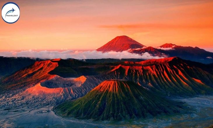 bromo dragonfly