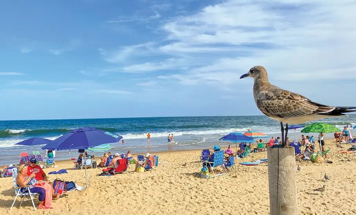 Fenwick Island State Park