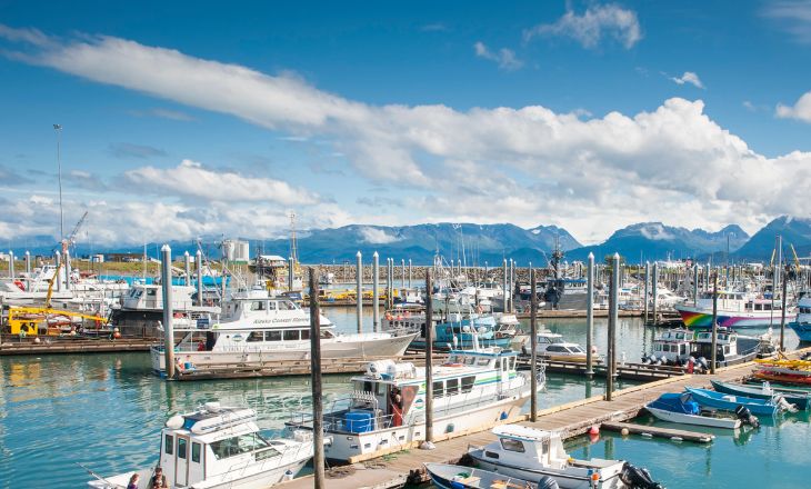 things to do in homer alaska