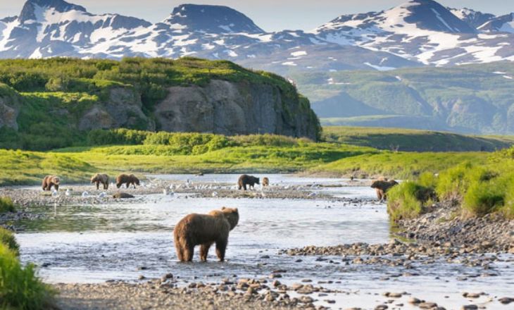 katmai national park maps