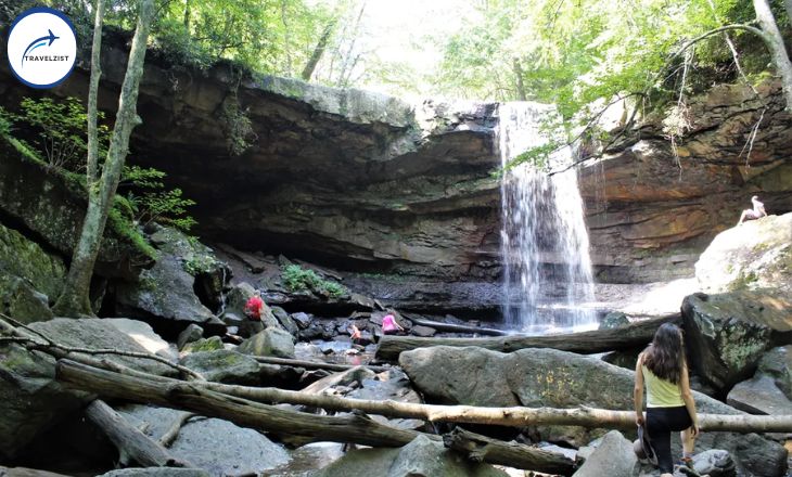 Ohiopyle State Park